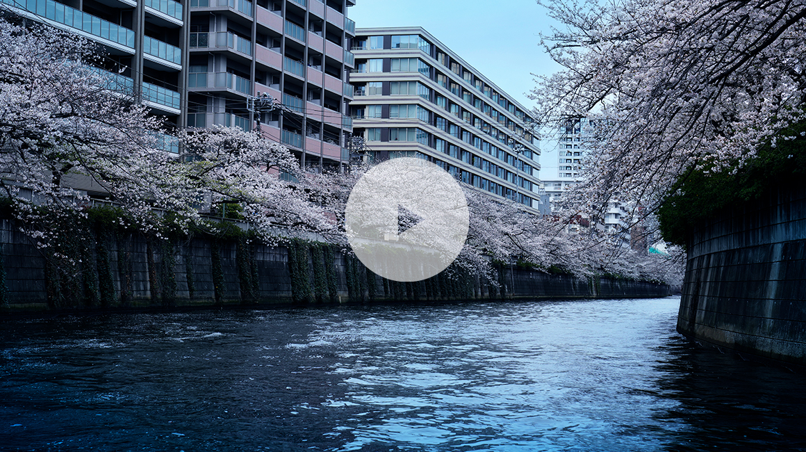 ポスター画像（PC）